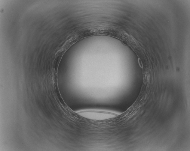 X0000070421012200606090933
