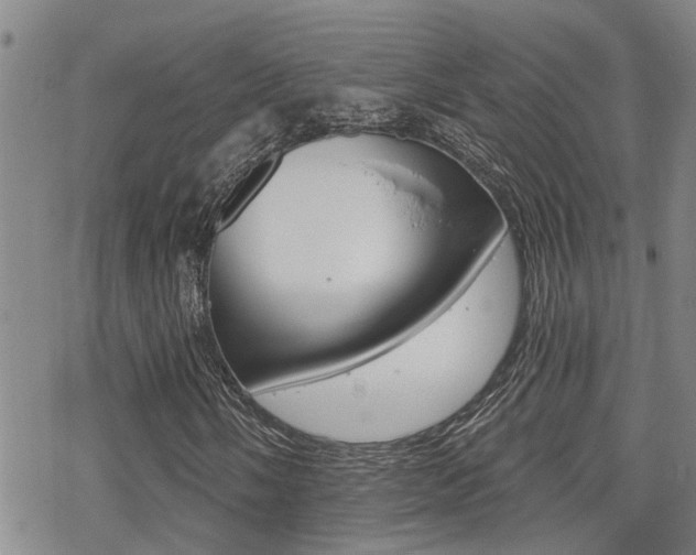 X0000070421058200606090932
