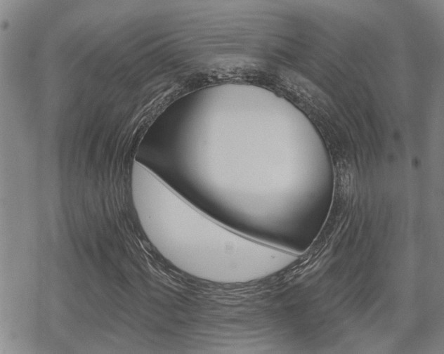 X0000070421060200606090932