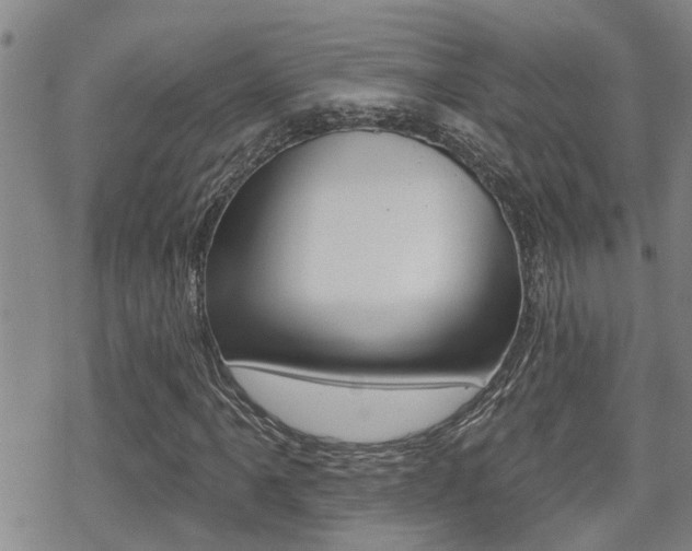 X0000070421061200606090932