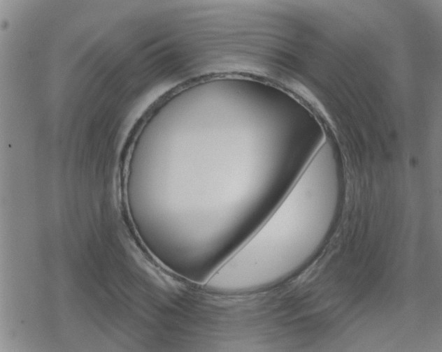 X0000070421076200606090932