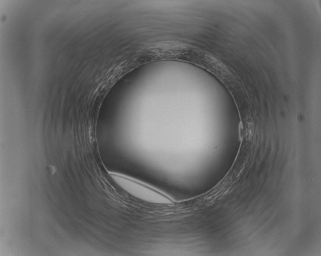 X0000070421108200606090931