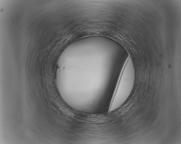 X0000070421201200606090929