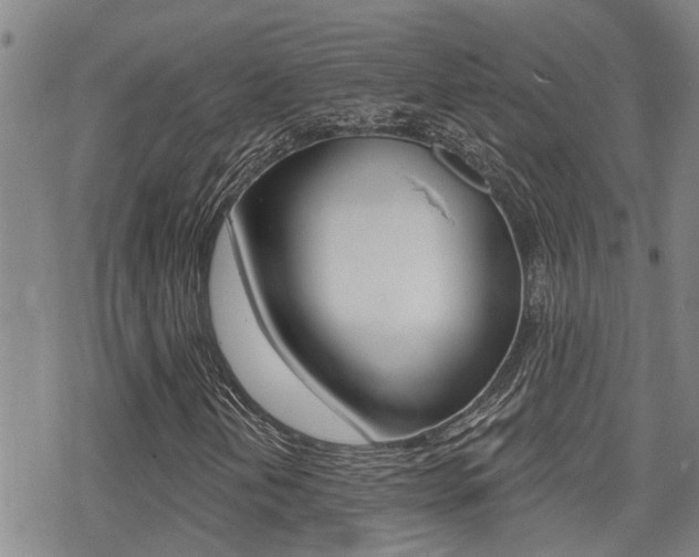 X0000070421202200606090929