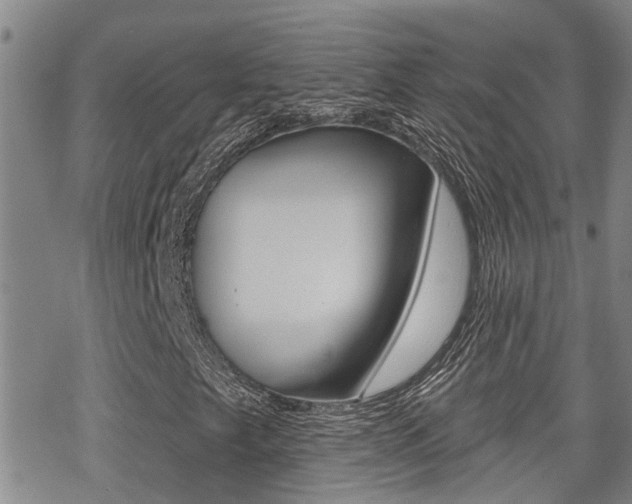 X0000070421249200606090929
