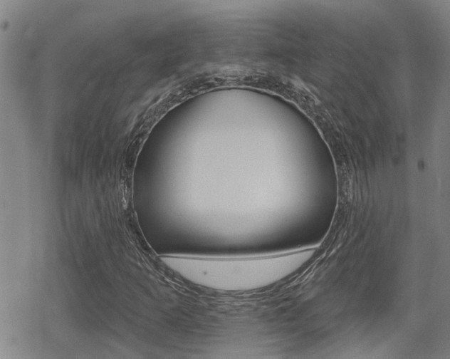 X0000070421253200606090929