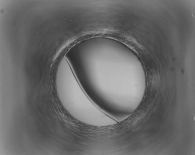 X0000070421256200606090929
