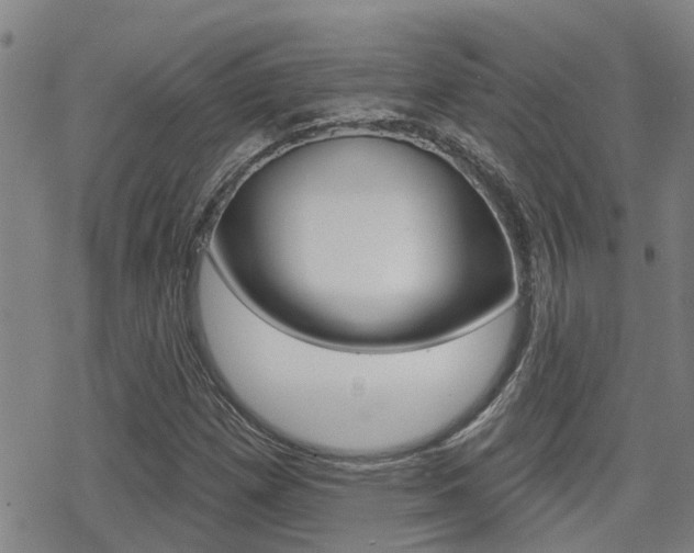 X0000070421257200606090929