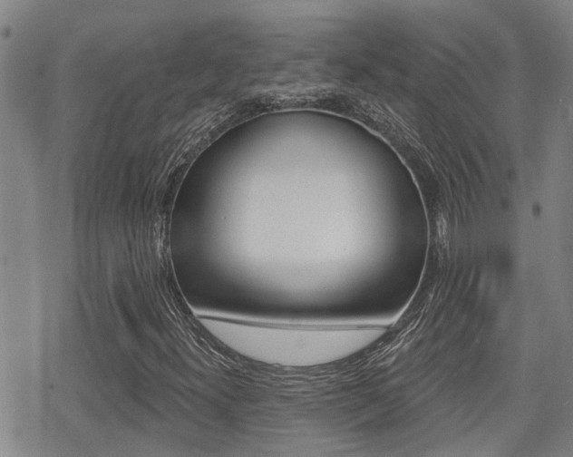 X0000070421300200606090928