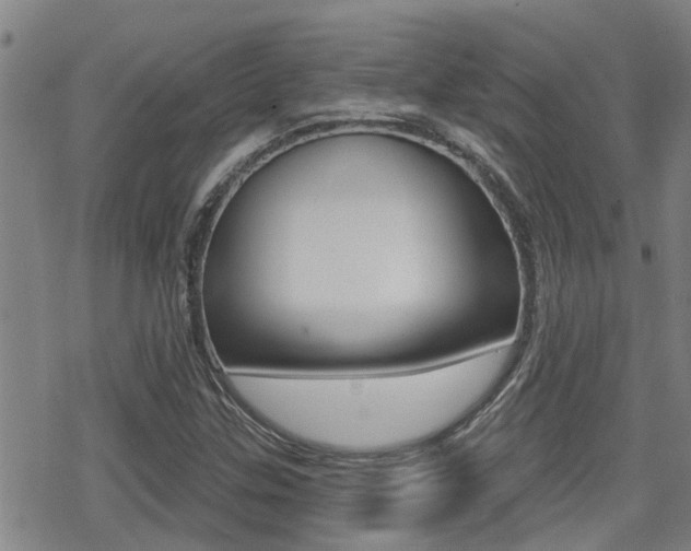 X0000070421307200606090928