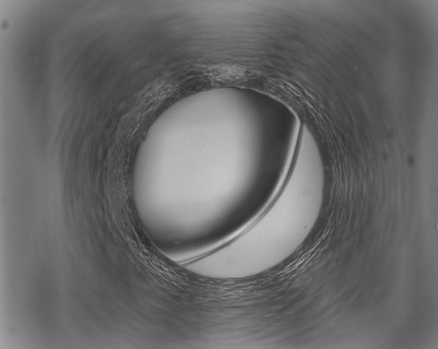 X0000070421345200606090928