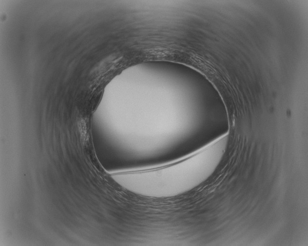 X0000070421347200606090928