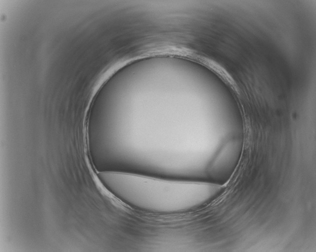 X0000070421439200606090927