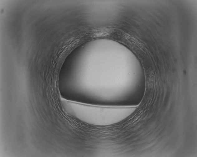 X0000070421441200606090926