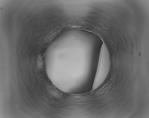X0000070421443200606090926