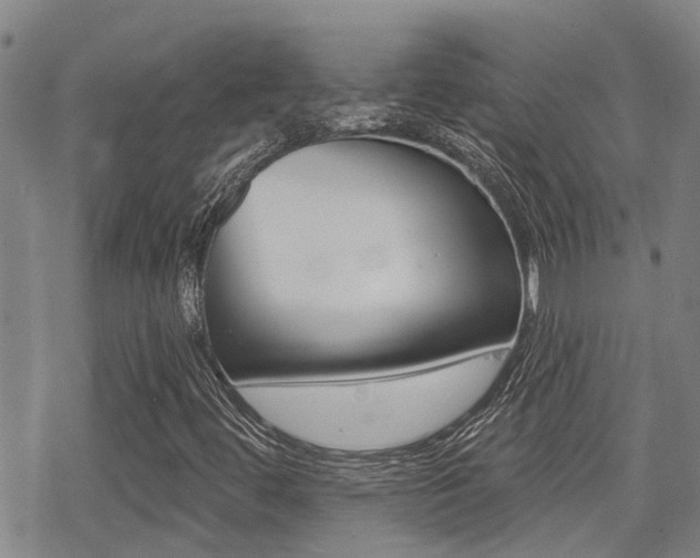 X0000070421444200606090926