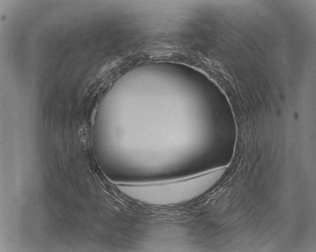 X0000070421445200606090926