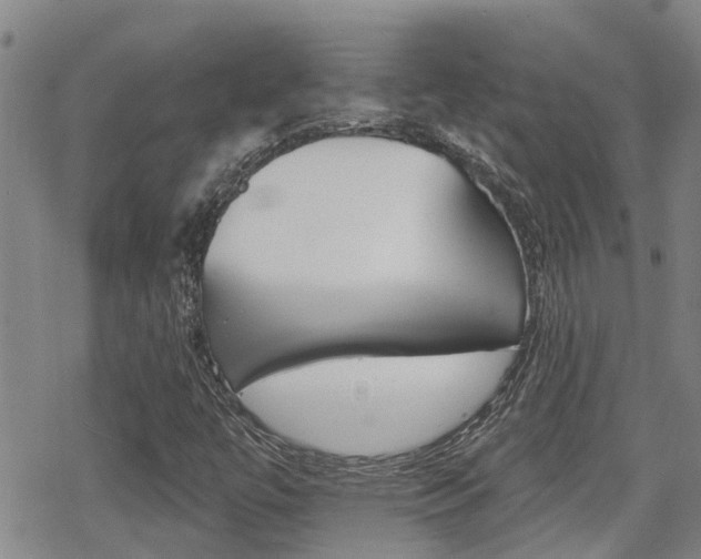 X0000070421447200606090926