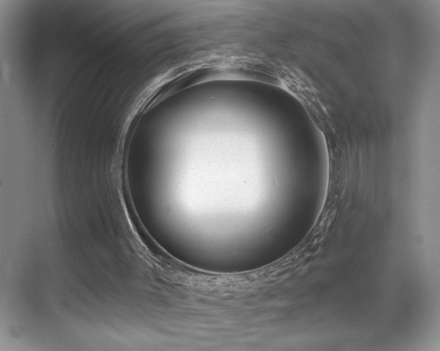 X0000070420003200606091250