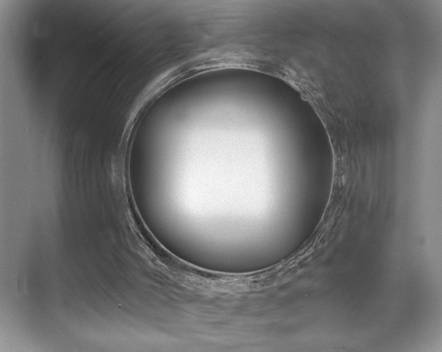 X0000070420004200606091250