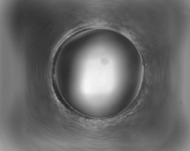 X0000070420007200606091250