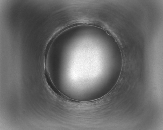 X0000070420011200606091250