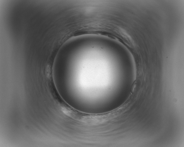 X0000070420025200606091249