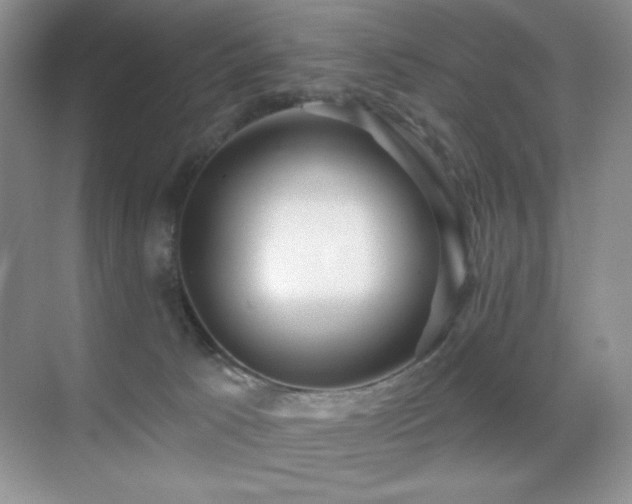 X0000070420033200606091249