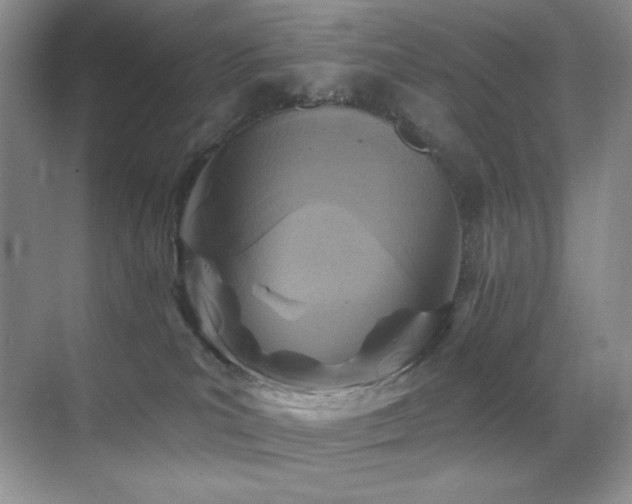 X0000070420039200606091249