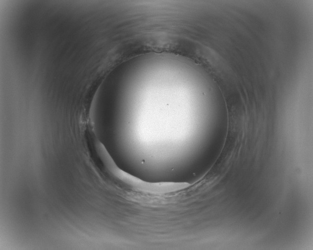 X0000070420040200606091249