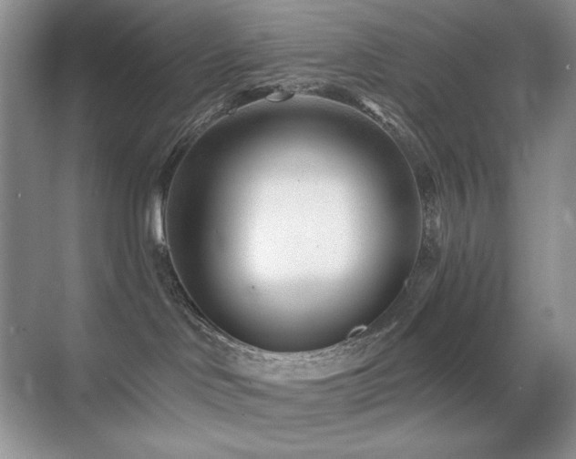 X0000070420046200606091249