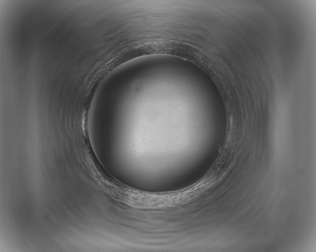 X0000070420048200606091249