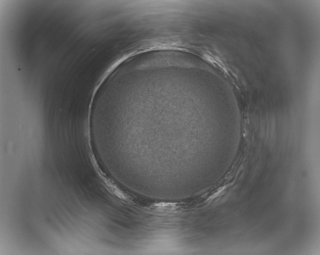 X0000070420052200606091248