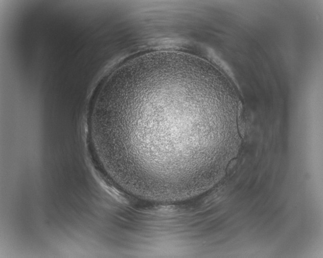 X0000070420059200606091248