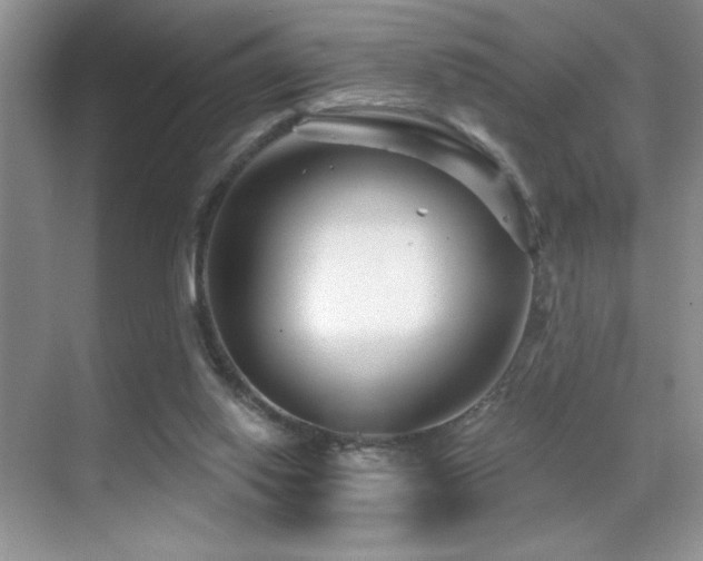 X0000070420062200606091249