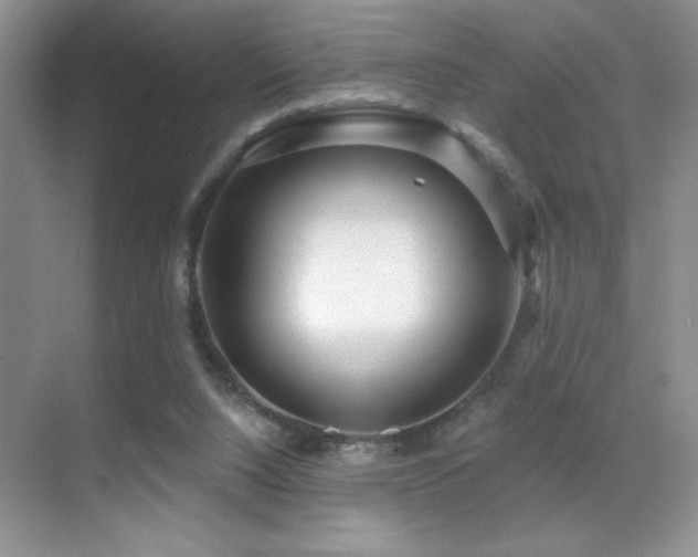 X0000070420064200606091249