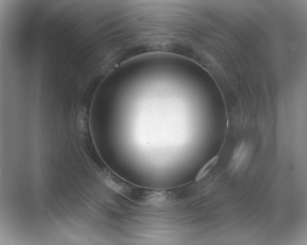 X0000070420083200606091249