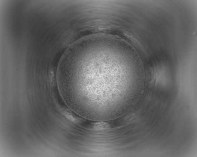 X0000070420087200606091249