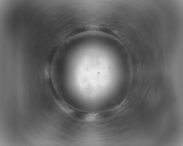 X0000070420090200606091249