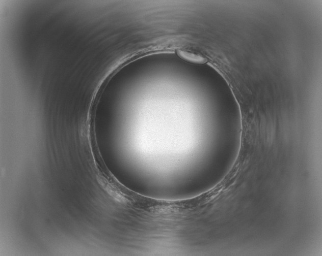 X0000070420100200606091248