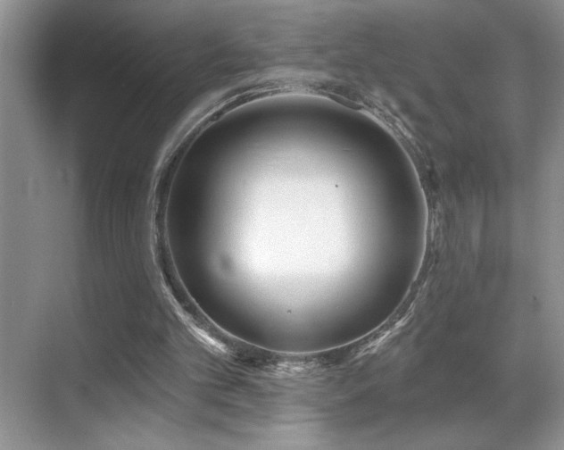 X0000070420101200606091248