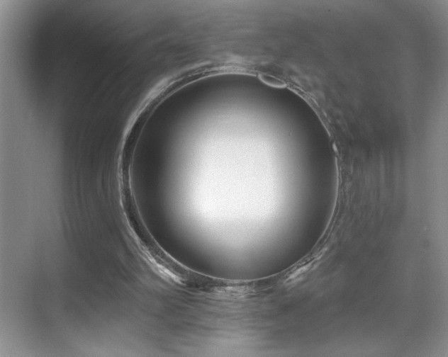 X0000070420102200606091248