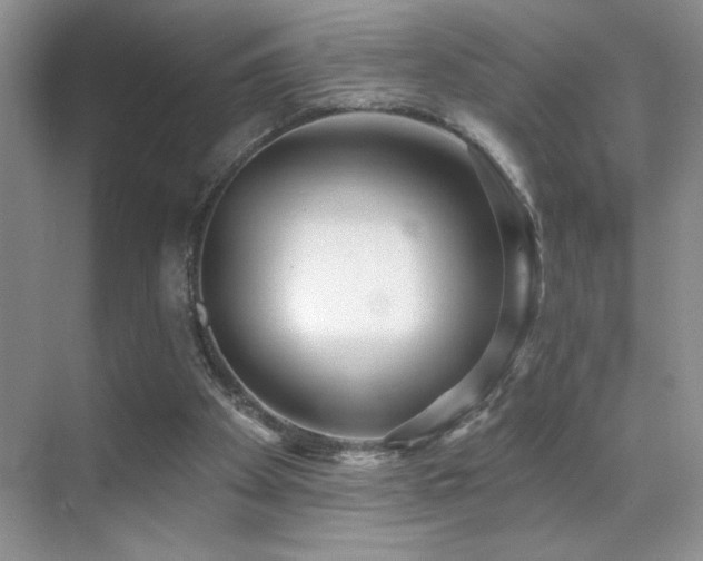 X0000070420105200606091248