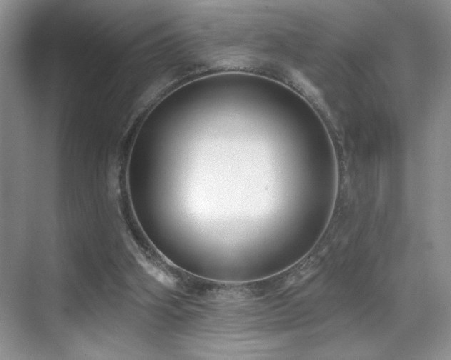 X0000070420106200606091248
