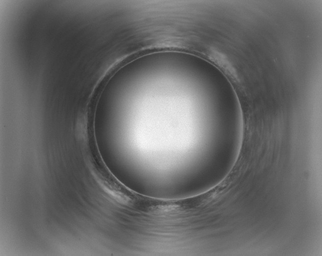 X0000070420108200606091248