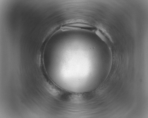 X0000070420110200606091248