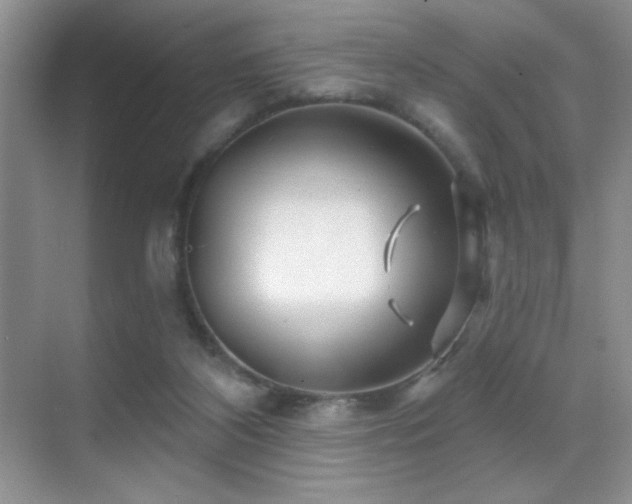 X0000070420116200606091248