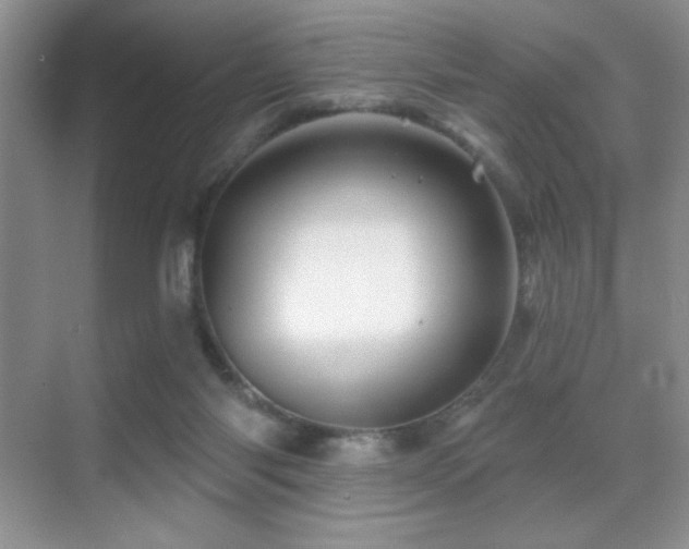 X0000070420118200606091248