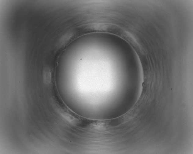 X0000070420120200606091248