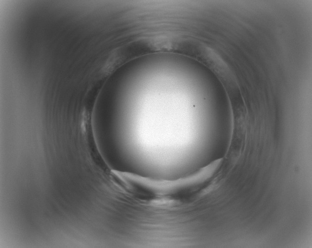 X0000070420125200606091248
